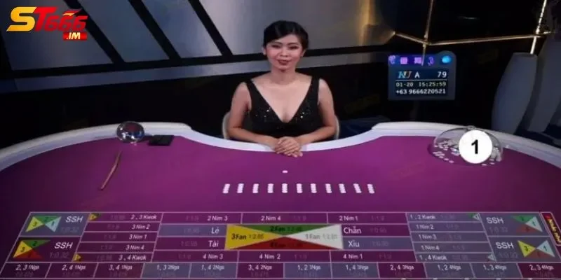 bài Fan Tan Học hỏi và rèn luyện bí quyết từ cao thủ